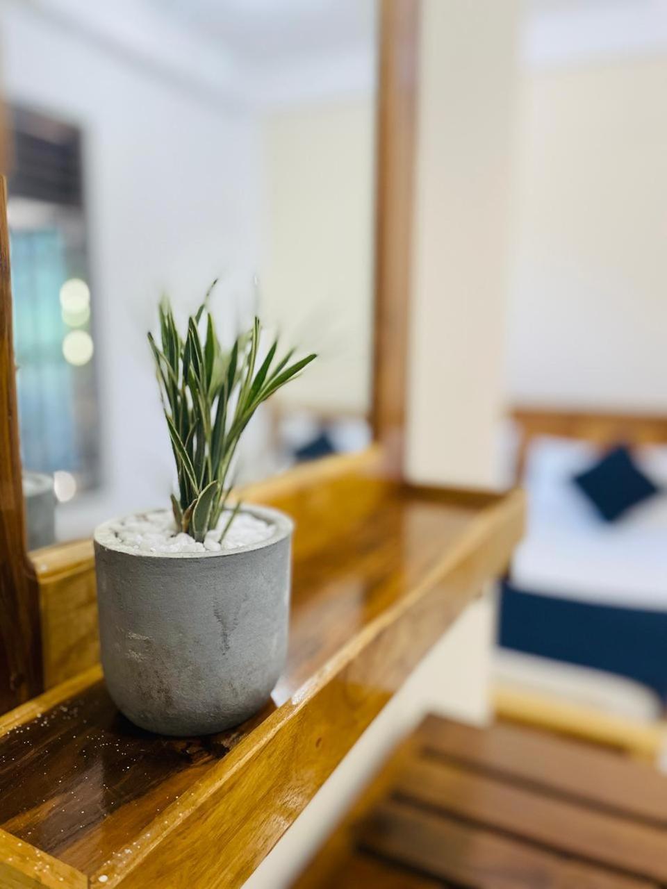 Natraj Guest House トリンコマリー エクステリア 写真